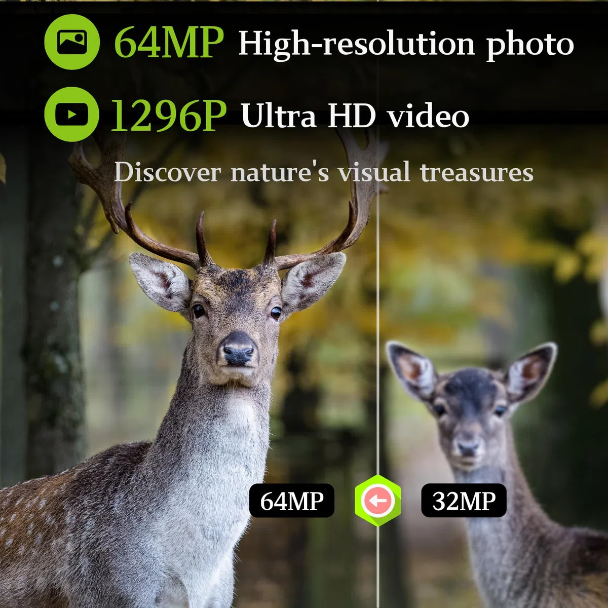 BlazeVideo 48MP Wildkamera Nachtsichtkamera Wildtier Kamera mit 1296P H.264 MPV Video, Bewegungmelder Nachtsicht Zeittraffer, IP66 Wasserdicht und 2,4" Bildschirm
