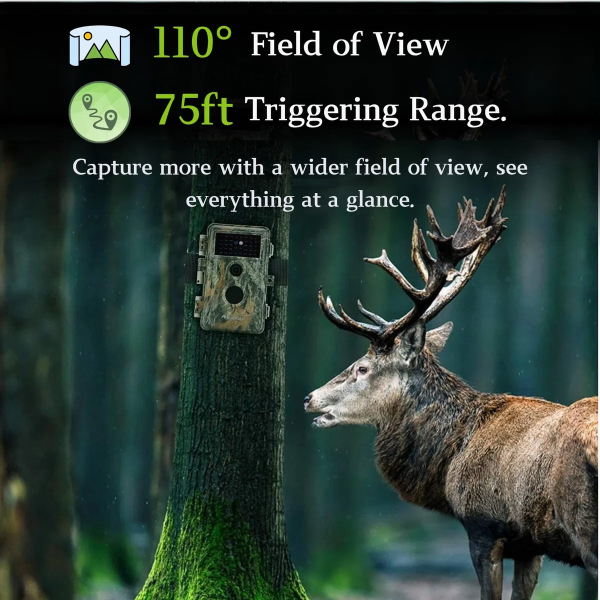 BlazeVideo 48MP Wildkamera Nachtsichtkamera Wildtier Kamera mit 1296P H.264 MPV Video, Bewegungmelder Nachtsicht Zeittraffer, IP66 Wasserdicht und 2,4" Bildschirm