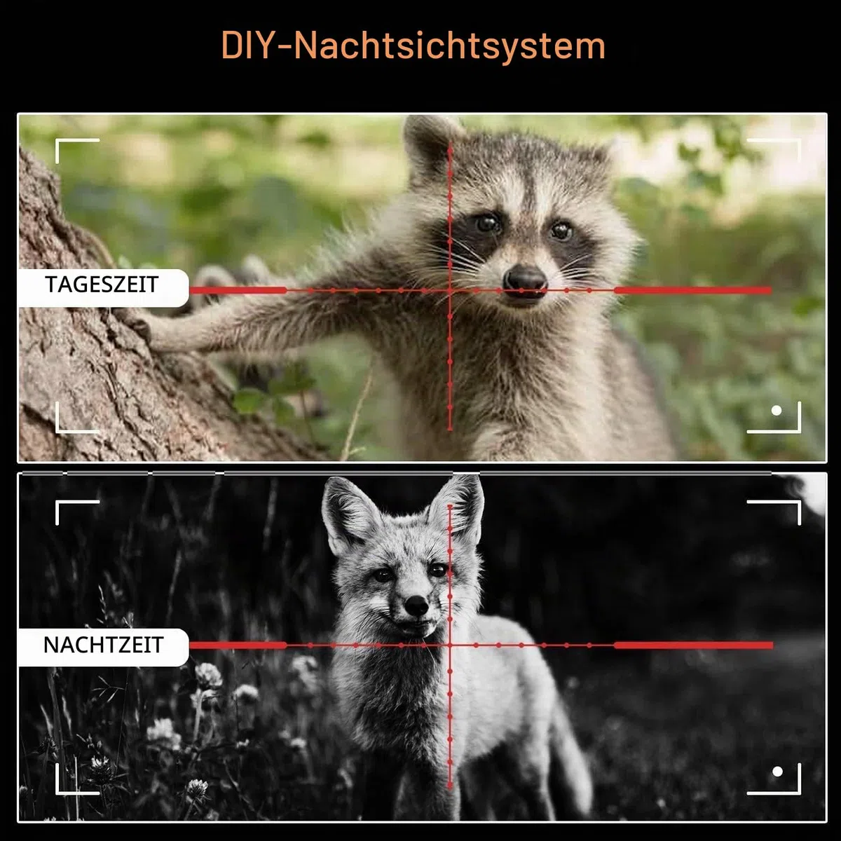 KinZon HD-Nachtsichtbrille für die Jagd, professionell, SD-Karte 32 G im Lieferumfang enthalten, Infrarot HD 720P mit 4,3 Zoll Bildschirm.