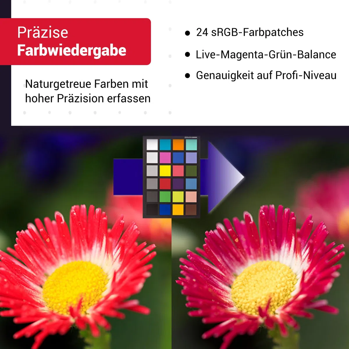 datacolor SpyderCheckr24: Farbkarte zur Kamerakalibrierung incl. Software zur Berechnung von Farbkorrektur-Presets. 24 Farbfelder sowie vollformatige Graukarte auf der Rückseite, schwarz