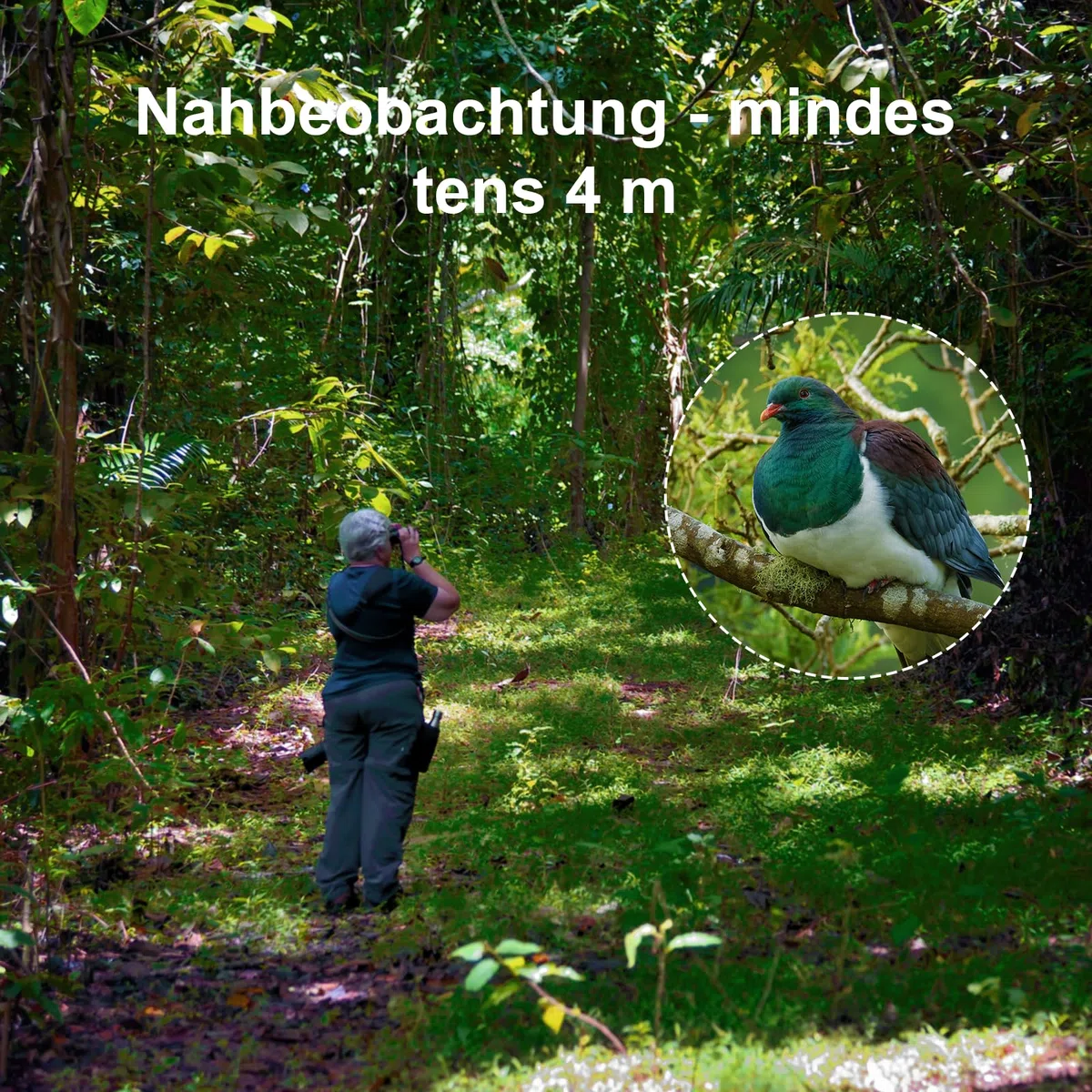 Usogood 12x52 Monokular Teleskop Erwachsene,HD Monokular Fernrohr mit BAK4 Prisma und FMC Beschichtung, für Vogelbeobachtung, Wandern